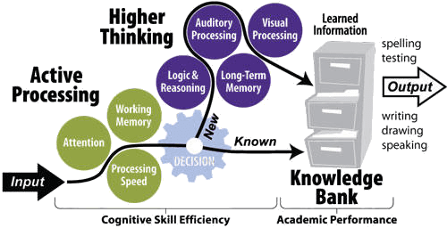 Brain & Cognitive Skills Training